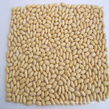 Blanched Peanut Groundnut Food Grade